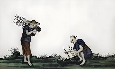 揭秘清朝 &ldquo;红薯盛世&rdquo;：小小红薯如何撬动历史乾坤