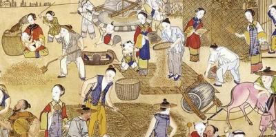 系列二：《官方力挺：红薯北上之路》
