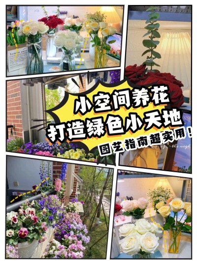 小空间养花指南 | 打造你的绿色小天地🌱