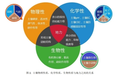 土壤和作物生育的关系
