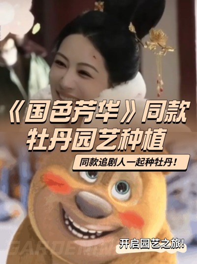 举个花铲铲，跟着《国色芳华》一起种牡丹！