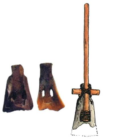8000 年前的「米其林」盛宴：河姆渡人用牛骨吃饭的惊天秘密