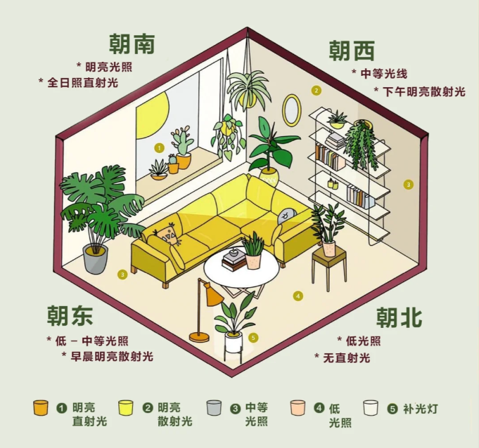 http://st-static1.gtdn14.cn/forums/2025/02/06/17388128291586.png