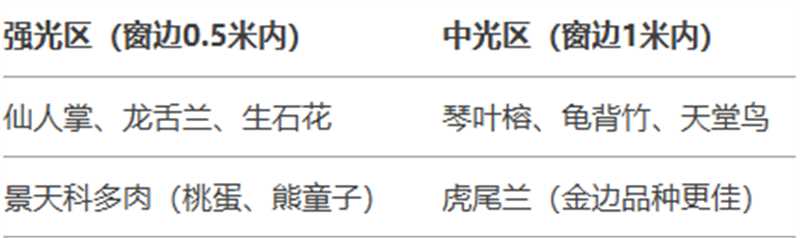 http://st-static1.gtdn14.cn/forums/2025/02/06/17388132986241.jpg