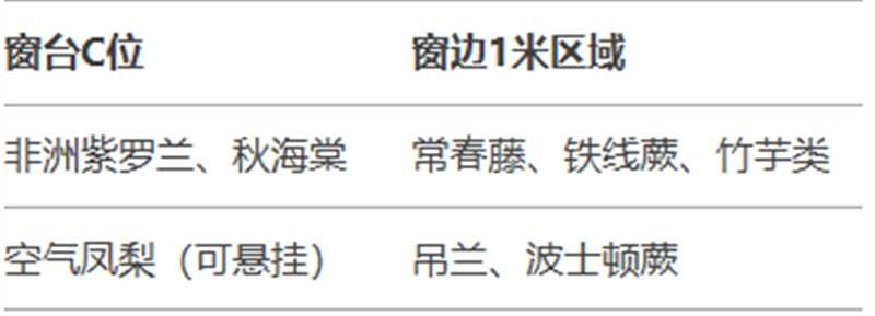 http://st-static1.gtdn14.cn/forums/2025/02/06/17388136156585.jpg