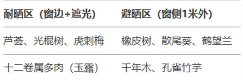 http://st-static1.gtdn14.cn/forums/2025/02/06/17388142171387.jpg