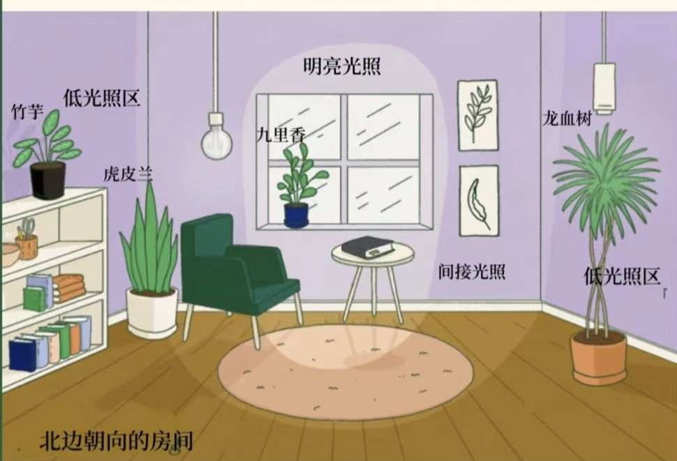 http://st-static1.gtdn14.cn/forums/2025/02/06/17388144187134.jpeg