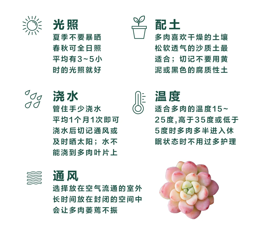 http://st-static1.gtdn14.cn/forums/2025/02/10/17391722467857.png
