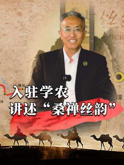 穿越千年，蚕桑丝绸文化熠熠生辉！今天，&ldquo;桑禅丝韵&rdquo;带你揭开神秘面纱，探寻蚕桑密码！#丰农控股 #蚕桑丝绸 #丝绸之路