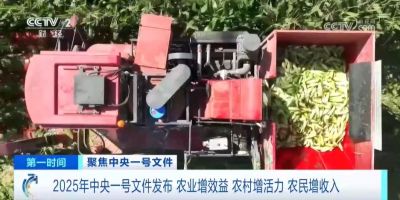 2025中央一号文件深度解读丨园艺景观行业迎来黄金发展期，三大机遇不可错过！