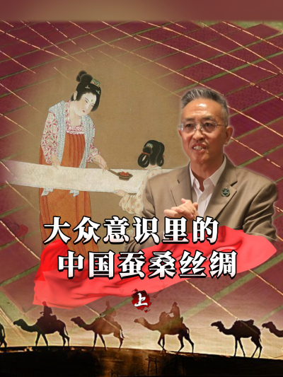 蚕桑丝绸承载着千年历史，是中华文化的靓丽名片，那么它在大众的意识里是什么印象呢？今天我们来讲第一部分#丰农控股 #蚕桑丝绸 #丝绸之路