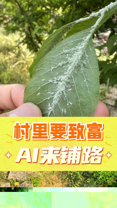 没有套路的农村AI工具，就是识农小程序