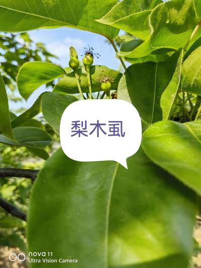 http://st-static1.gtdn14.cn/forums/2025/04/15/17447048754679.jpeg