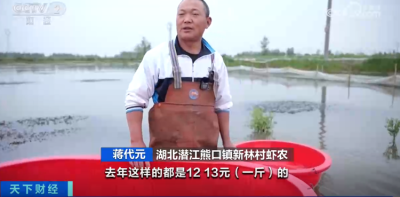 小龙虾越卖越便宜，这些养殖户还在赚钱