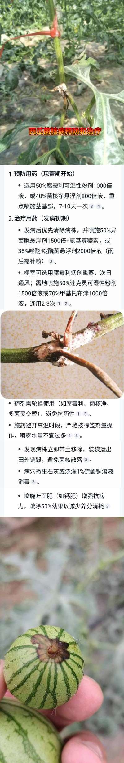 http://st-static1.gtdn14.cn/forums/2025/04/23/17453936646134.jpeg