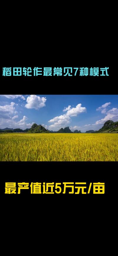 &ldquo;一田多收，藏着农业增收的密码！今天带您1分钟看懂水稻轮作的致富密码