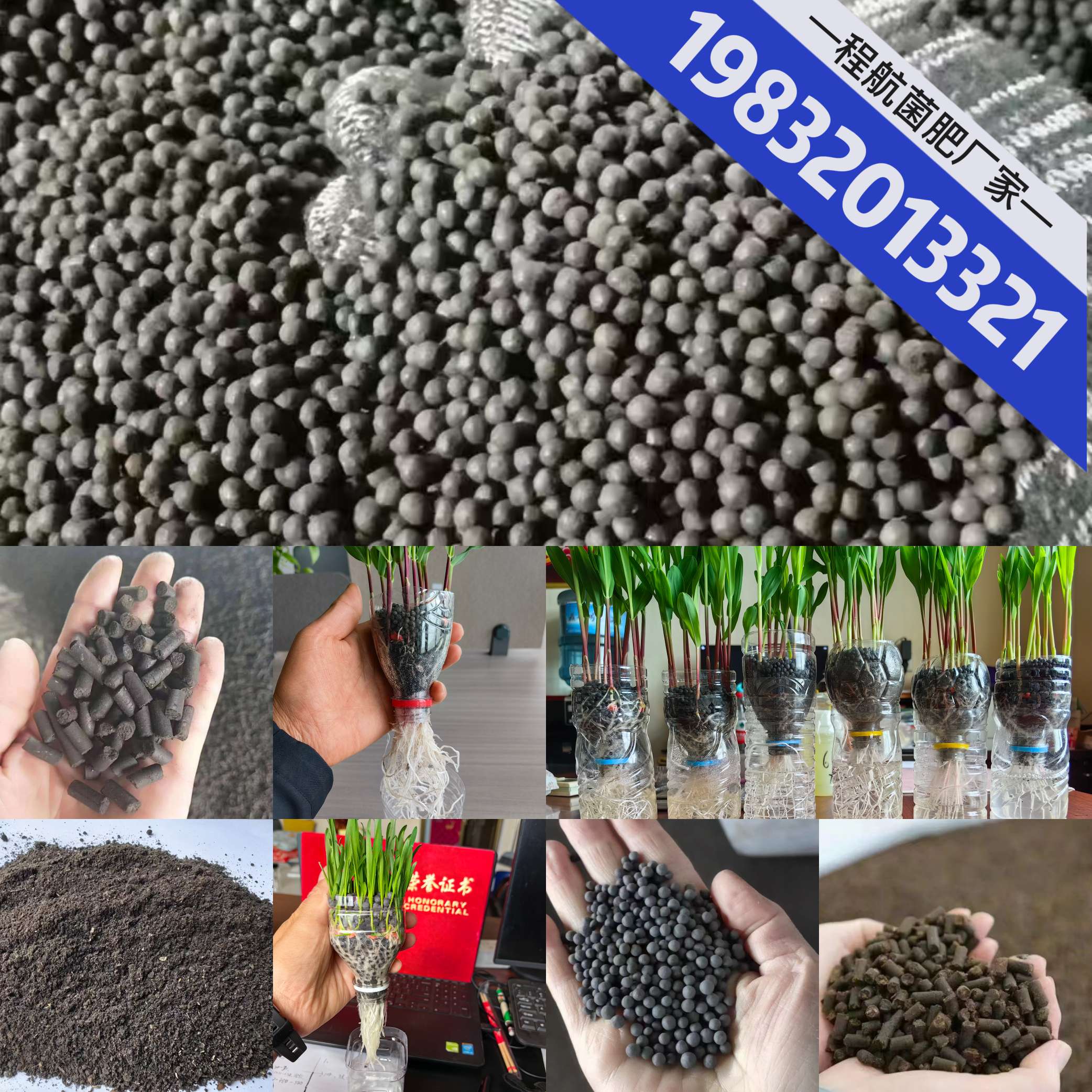 http://st-static1.gtdn14.cn/forums/2025/06/25/17508210784306.jpeg