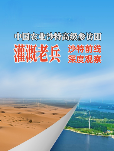 #华维沙特行 灌溉之于沙漠之城利雅得的现实意义 #灌溉不止于灌溉 #华维集团