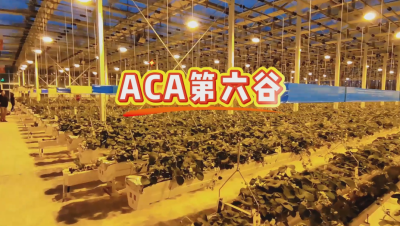 #ACA第六谷 模式，打造#ACA作物工厂，规划建园到栽培种植水肥管理一站式服务！#可控农业 #华维集团