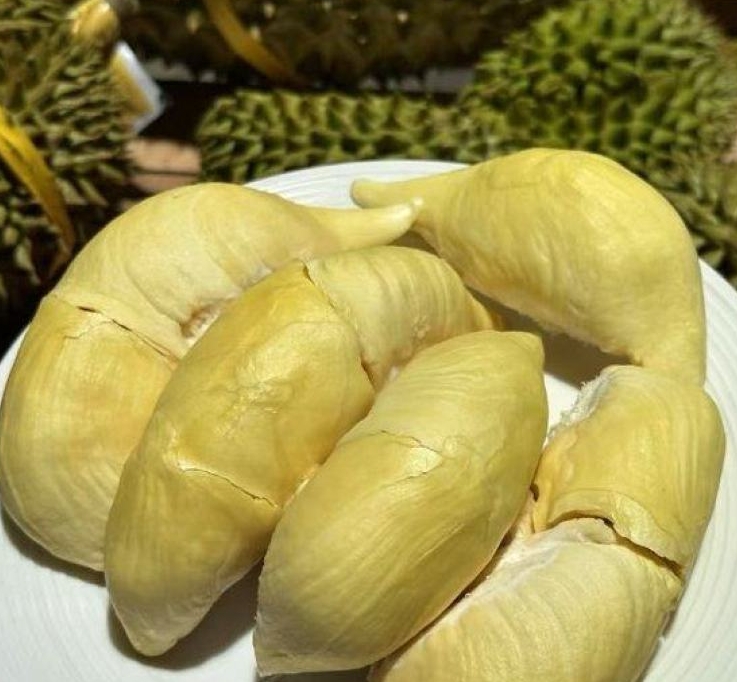 泰国甲仑榴莲
浓香满口，丝滑如奶油
甜甜糯糯，榴莲味浓郁
谁让它是泰国榴莲界的元