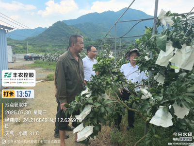 邓老师带队考察开发泰国红宝石基地。