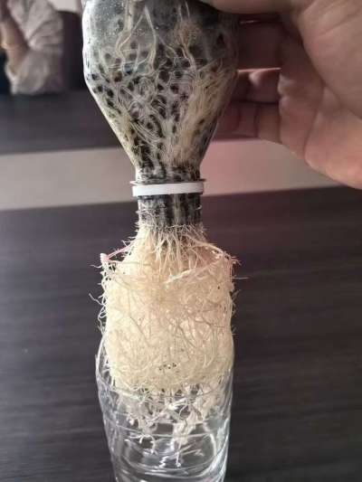 年销售量三十万吨的有机肥生产厂家，全国网点发货，资质齐全，正品保障！有机肥、生物菌肥、微生物肥料等