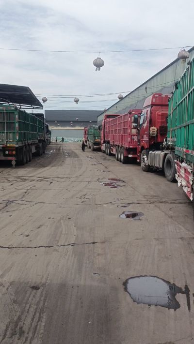 发酵 鸡粪，发酵羊粪 有机肥 微生物肥 微生物菌肥 微生物菌剂 每天出货量1500多吨，都是老客户介绍新微生物菌肥，山西马上出发，近期用肥的老板提前联系，马上到国庆节＋中秋节 一大部分物流都会放假，到