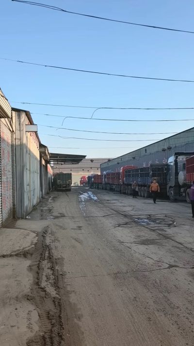 10月14号，生物有机肥排队装车