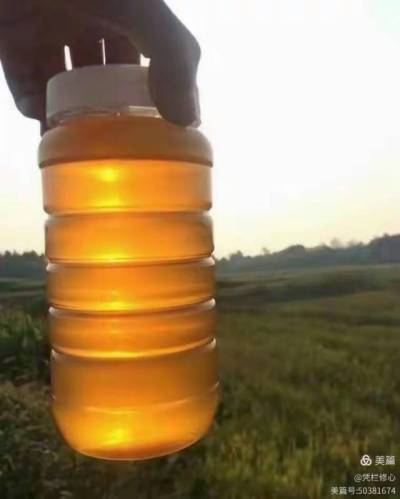 &ldquo;蜜&rdquo;源自然，臻选乡土精华。产自株洲市渌口区淦田镇成国家庭农场的纯天然中华蜂蜜，