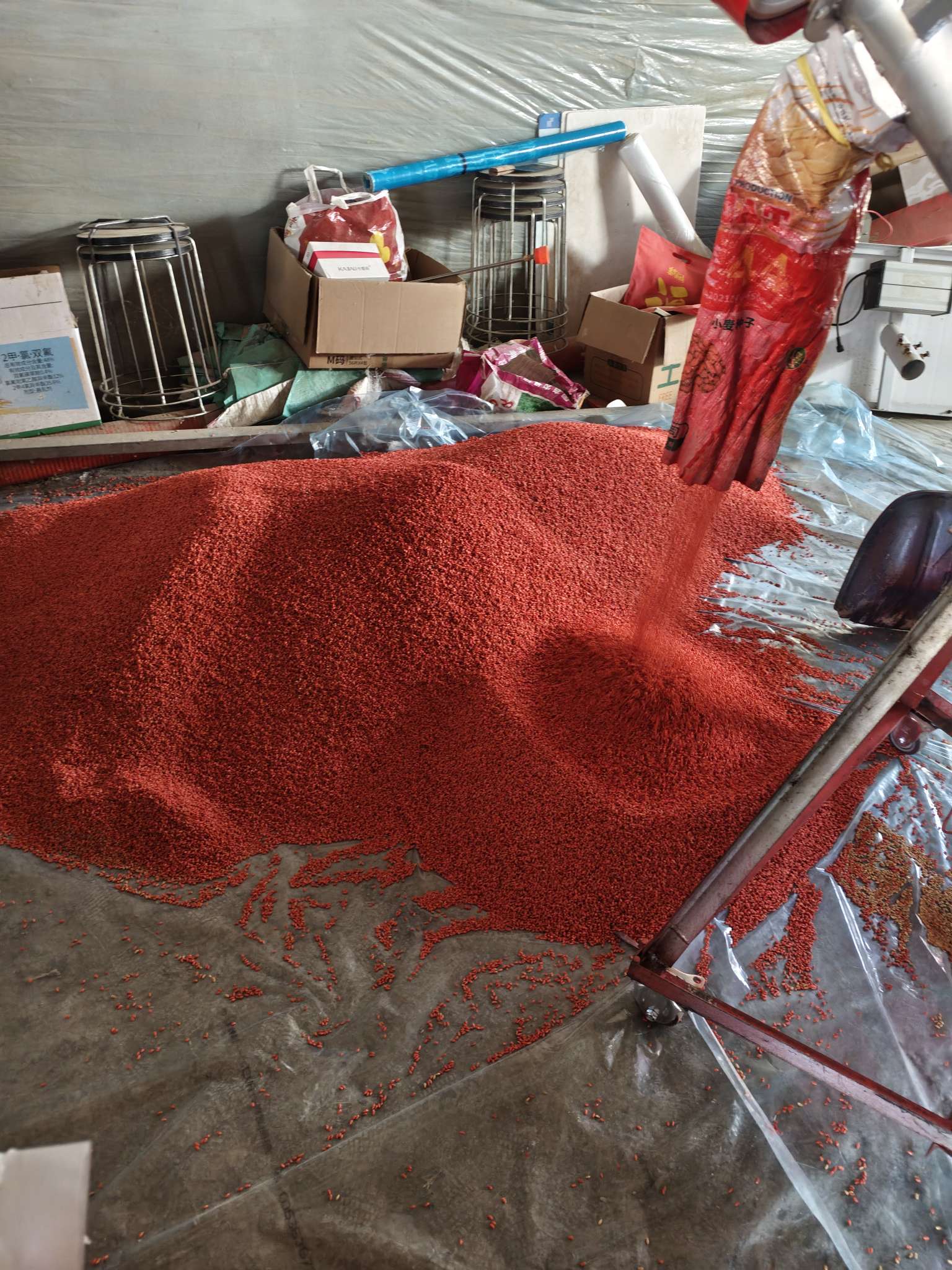 四冠包衣拌种，防虫防病壮苗增产。