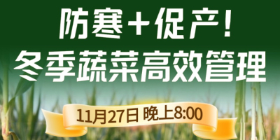 《细说农技》专家张宝林教冬季蔬菜防寒 + 促产高效管理，27 日晚 8 点！