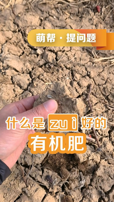 什么是最好的有机肥