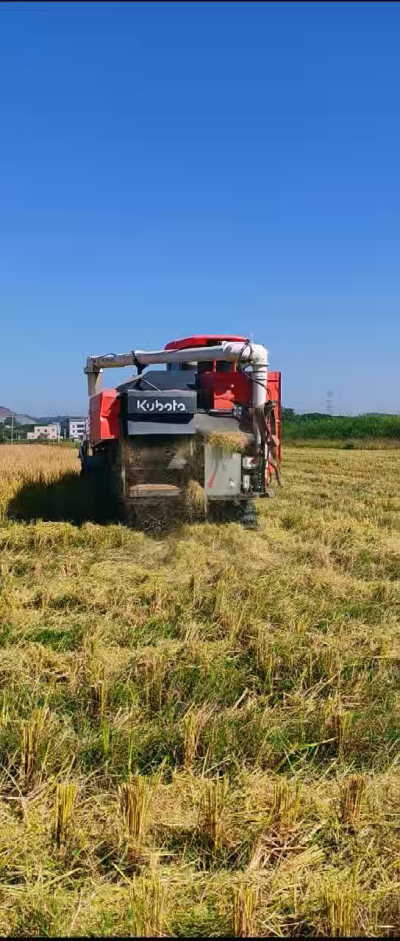 惠州基地，无人拖拉机收水稻了。