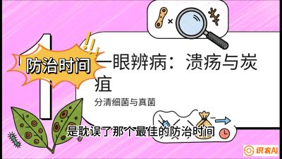 第三节：细菌与真菌&mdash;&mdash;溃疡病与炭疽病，课程：《柑橘十大病虫害：从入门到精通》