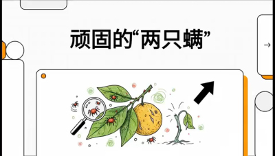 第二节：顽固&ldquo;两只满&rdquo;&mdash;&mdash;红蜘蛛与锈壁虱,课程：《柑橘十大病虫害：从入门到精通》