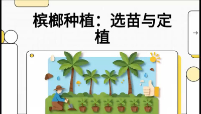 第01节：选苗与定植&mdash;&mdash;&ldquo;苗好一半收，底肥定千秋&rdquo;课程：《槟榔种植：从不懂到精通的10堂必修课》