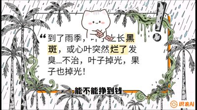 第05节：常见真菌病害&mdash;&mdash;&ldquo;炭疽与烂心，早防值千金&rdquo;《槟榔种植：从不懂到精通的10堂必修课》