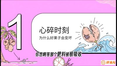 第08节：微量元素与保果&mdash;&mdash;&ldquo;补硼又补钙，果子不裂坏&rdquo;《槟榔种植：从不懂到精通的10堂必修课》