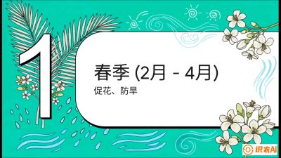 第10节：周年农事日历&mdash;&mdash;&ldquo;跟着节气走，丰产在手头&rdquo;《槟榔种植：从不懂到精通的10堂必修课》
