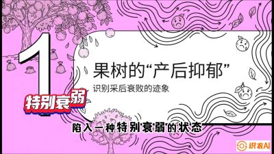 第2节：【冬肥策略】采后&ldquo;月子肥&rdquo;：大小年的精准干预术，课程：《柑橘底肥&ldquo;翻身账&rdquo;：从改土到高产的实战全书》