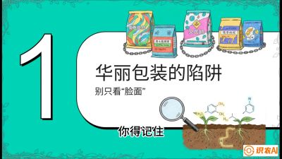 第4节：【黄金配方】底肥里的&ldquo;铁三角&rdquo;与&ldquo;微量雷区&rdquo;课程：《柑橘底肥&ldquo;翻身账&rdquo;：从改土到高产的实战全书》