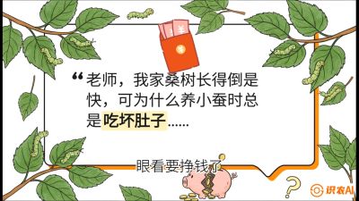 第01节：不仅仅是树&mdash;&mdash;顶级品种选配策略，课程：《桑海淘金：桑树高产与蚕桑安全进阶实战课》