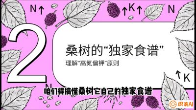 第04节：地下核动力&mdash;&mdash;桑树专用水肥一体化配方，课程：《桑海淘金：桑树高产与蚕桑安全进阶实战课》