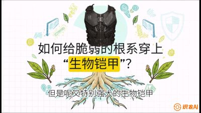 第三节：国产榴莲突围战：根系堡垒，菌根微生态构建与黄金定植窗口，课程：《国产榴莲突围战：从泰国经验到中国实操的8堂必修课（高阶实战版）》