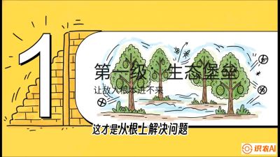 第七节：榴莲防御战：病虫害三级立体防控，疫霉菌与虫害的立体封锁线，课程：《国产榴莲突围战：从泰国经验到中国实操的8堂必修课（高阶实战版）》