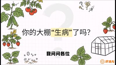 第2节（解毒篇）： 大棚里的&ldquo;红白绿&rdquo;警报&mdash;&mdash;读懂土壤盐渍化的求救信号，课程：《揭秘土壤的秘密：让土地帮你赚钱》#识农AI
