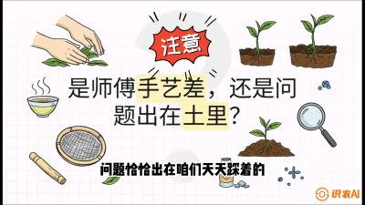 第02节（土肥篇）：告别&ldquo;苦涩水味&rdquo;：揭秘&ldquo;碳氮比&rdquo;调控术，种出自带兰花香的好茶底，课程：《茶金时代：从&ldquo;看天吃饭&rdquo;到&ldquo;精准控局&rdquo;的茶叶高产提质实战课》