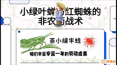 第03节（虫害篇）：看不见的吸血鬼：小绿叶蝉与红蜘蛛的&ldquo;非农药&rdquo;团灭战术（抗性治理），课程：《茶金时代：从&ldquo;看天吃饭&rdquo;到&ldquo;精准控局&rdquo;的茶叶高产提质实战课》