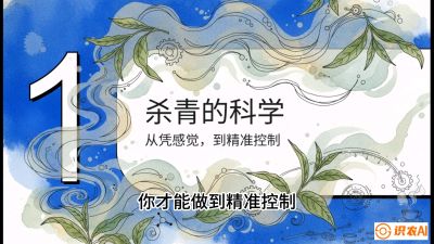 第05节（加工篇）：决胜2分钟：用&ldquo;数字温控&rdquo;破解杀青不匀，复刻大师级手工口感，课程：《茶金时代：从&ldquo;看天吃饭&rdquo;到&ldquo;精准控局&rdquo;的茶叶高产提质实战课》