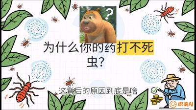 第4节：【虫害歼灭战】打不死的蓟马、隐形的茶黄螨：抗性时代的&ldquo;混配绝杀&rdquo;，课程：《辣椒种植实战特训营，从工业辣椒到精品小米辣，教你如何把&ldquo;草&rdquo;种成&ldquo;金&rdquo;》